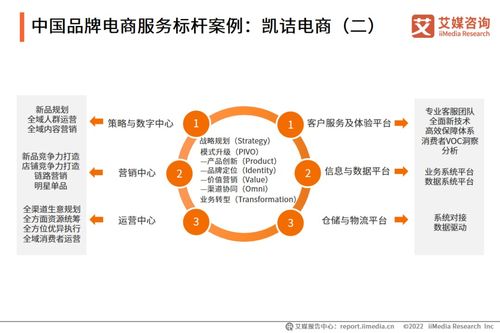 2022年中國品牌電商服務(wù)行業(yè)研究報(bào)告 信息咨詢服務(wù)深度解析
